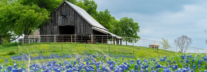 Peterson Chiropractic in Terrell Hills TX